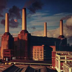 Sheep (2011 Remastered Version)