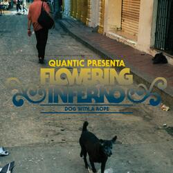 Dub Y Guaguanco