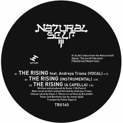The Rising (Feat. Andreya Triana)