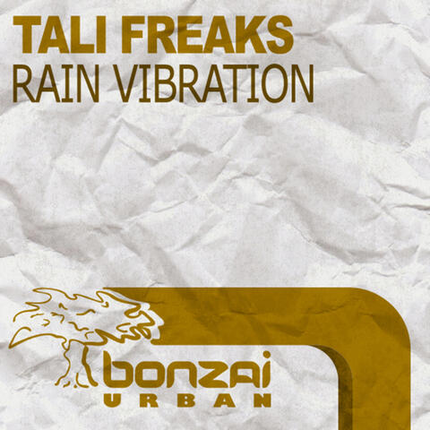 Rain Vibration