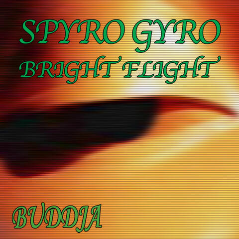 Bright Flight