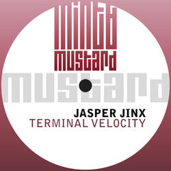 Terminal Velocity
