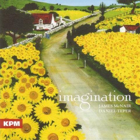 Imagination