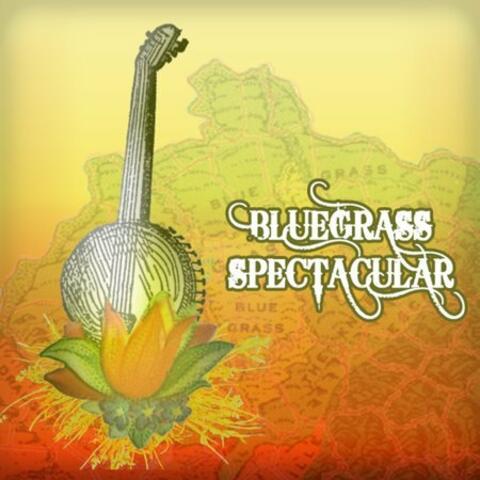 Bluegrass Spectacular