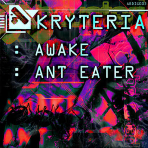 Awake/Ant Eater