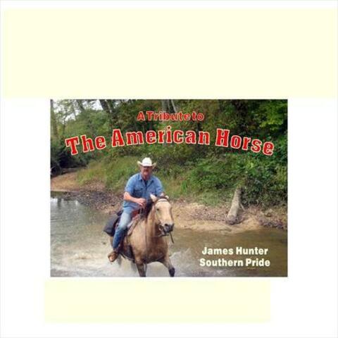 A Tribute to The American Horse