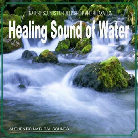 Healing Sound of Water (Nature Sounds)