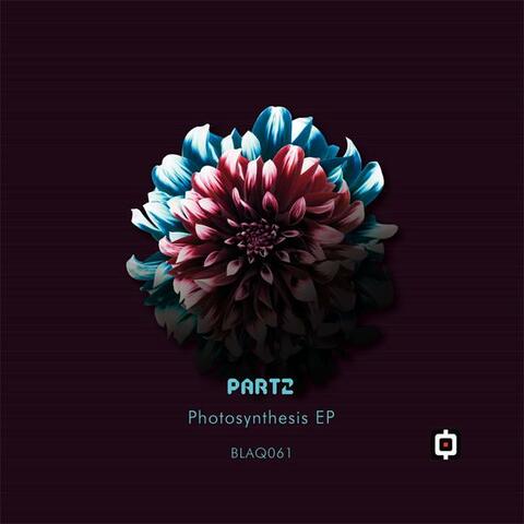 Photosynthesis EP