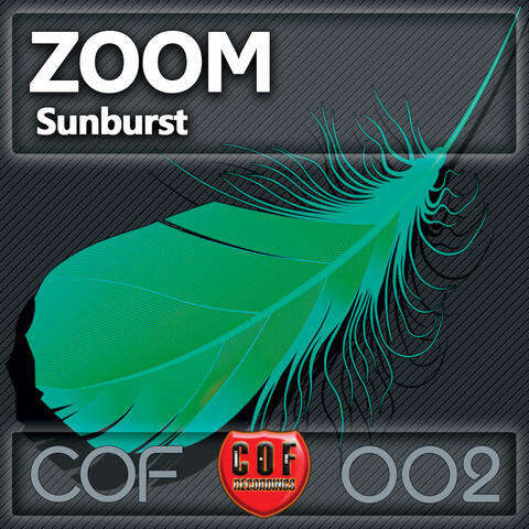 Zoom