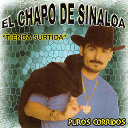 Caballo De Patas Blancas