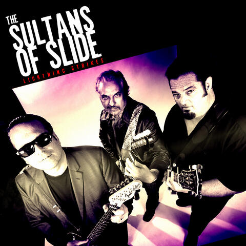 The Sultans Of Slide
