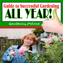Easy Ways to Add a Water Feature to your Garden