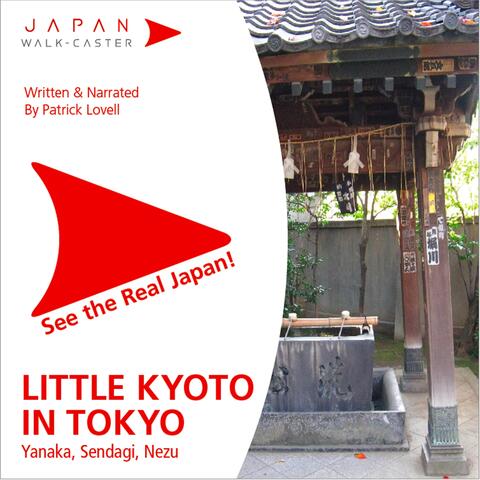 Little Kyoto in Tokyo - Yanaka