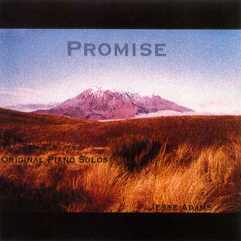 Promise