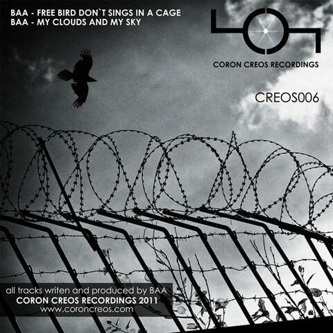 Free bird dont sings in a cage