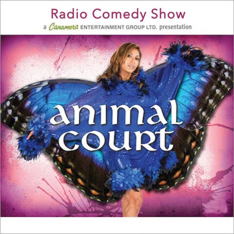 Animal Court
