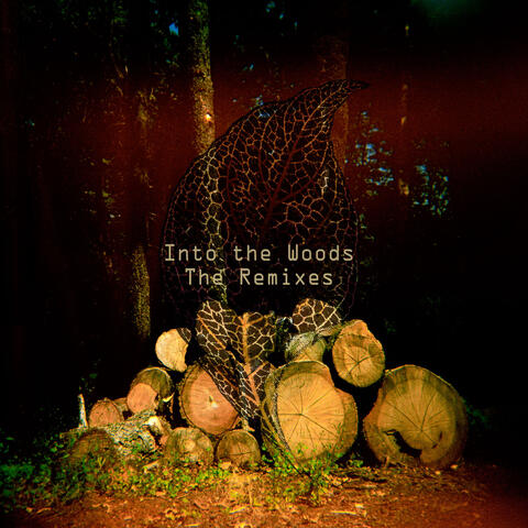Into The Woods - The Remixes
