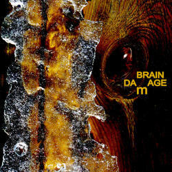 Brain Damage