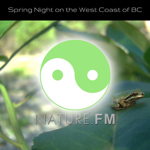 Spring Night on the West Coast of BC (Nature Sounds for Meditation and Relaxation)