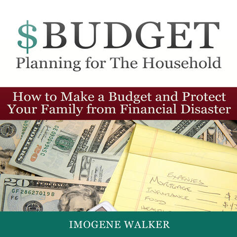 How to Make a Budget and Protect Your Family from Financial Disaster - Single