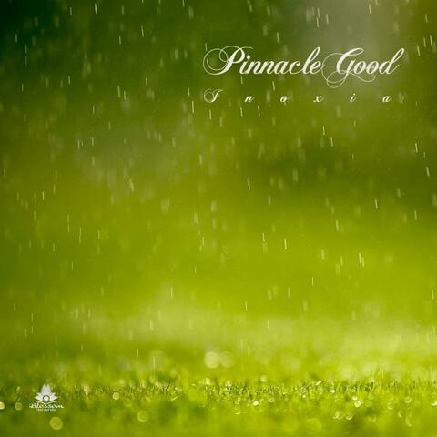 Pinalce Good