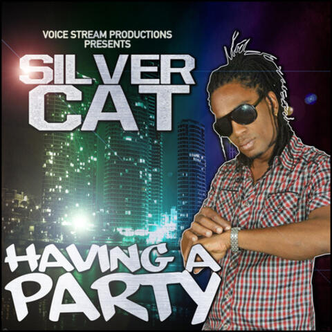 Having a Party - Single