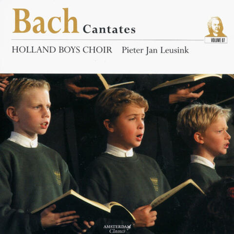 Bach Cantates, Vol. 7