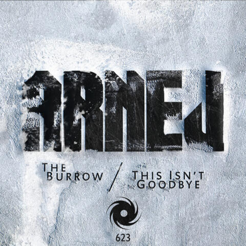 The Burrow / This Isn’t Goodbye