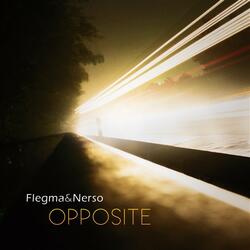 Observation (Flegma & Nerso Remix)