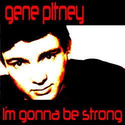 Town Without Pity