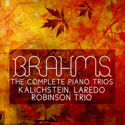 Trio No. 3 in C Minor for Violin, Cello and Piano, Op. 101: I. Allegro energico