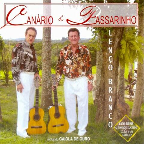Lenço Branco