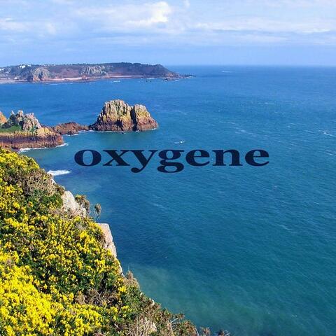 Oxygene (Progressive Chillout)
