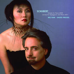 Sonata for Arpeggione and Piano in a minor, D. 821: II. Adagio affettuoso