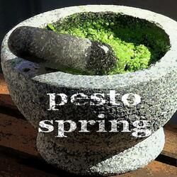 Pesto Spring