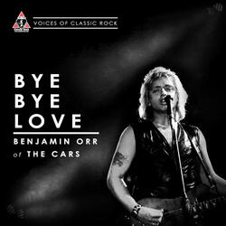 Bye Bye Love