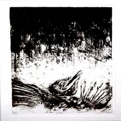 New World Order Rising