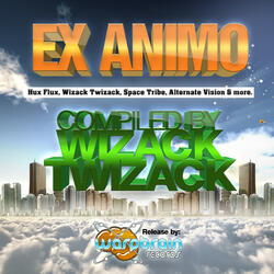 Bring Your Own Bios ( Wizack Twizack Remix 2011 )