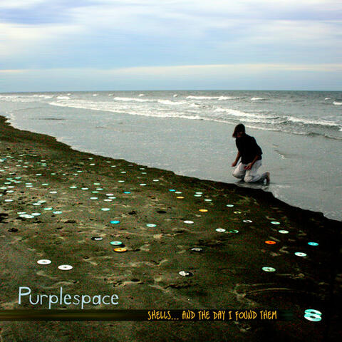 Shells... And The Day I Found Them