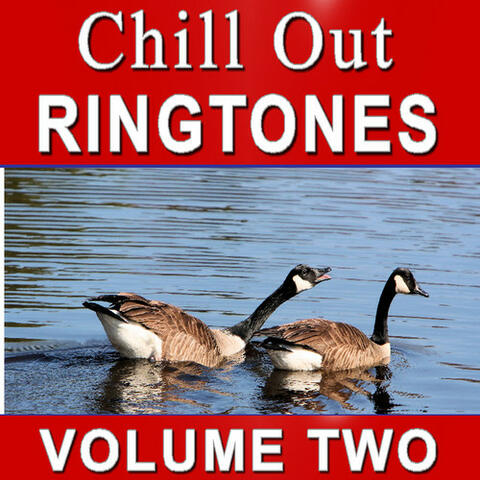 Chill Out Ringtones Volume 2