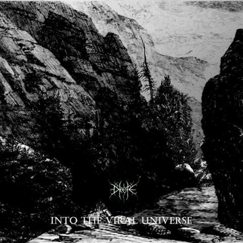 Into The Viral Universe EP