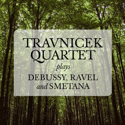 String Quartet No. 2 in D Minor, T. 131: I. Allegro