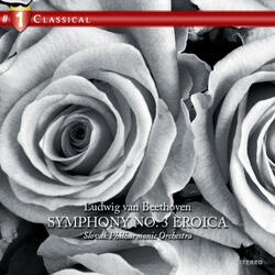 Symphony No. 3, Op. 55 in E Flat Major (Eroica): Marcia Funebre, Adagio assai