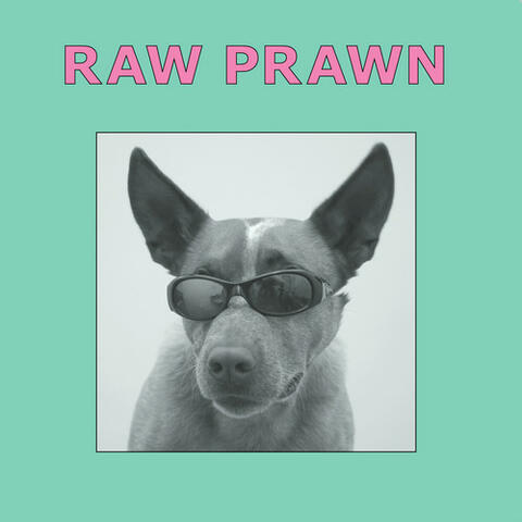 Raw Prawn