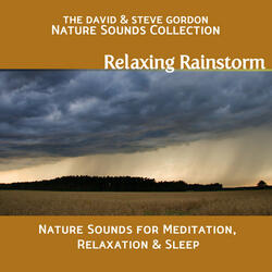 Relaxing Rainstorm, Part 1