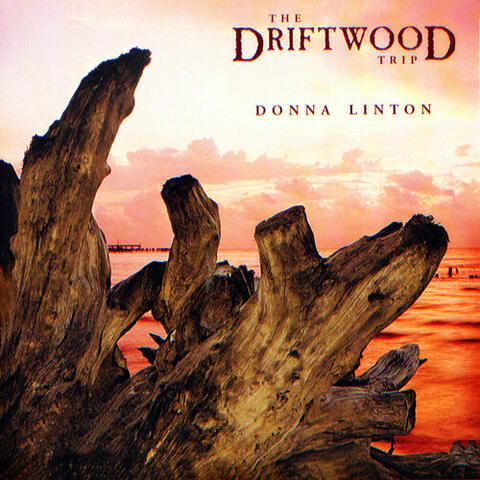 The Driftwood Trip