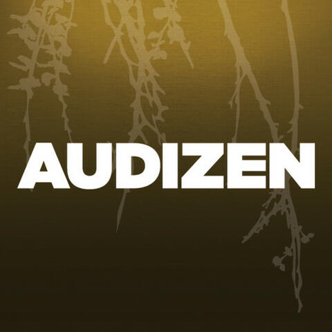 Audizen