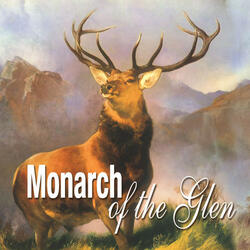 Monarch of the Glen
