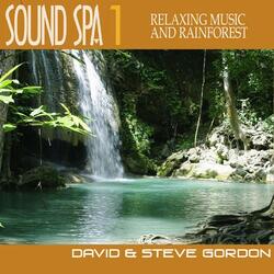 Relaxing Music and Rainforest Sounds, Part 2