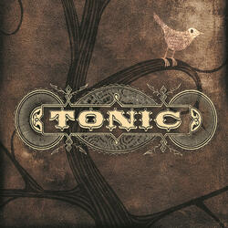 Torn To Pieces